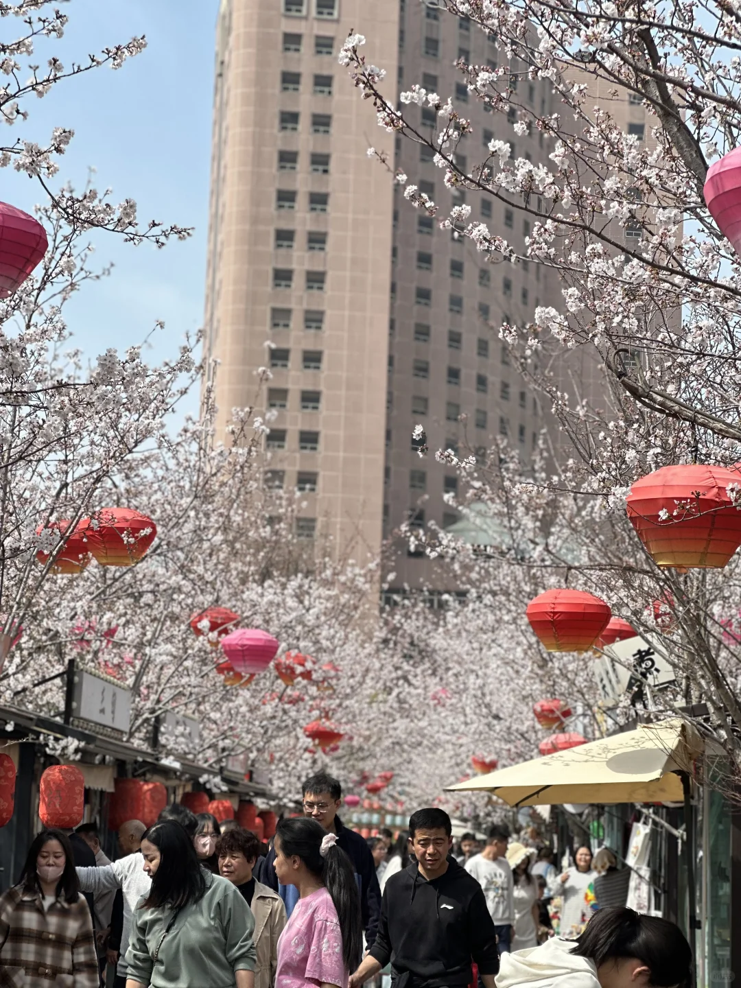 徐州2天一夜旅游攻略（刚从徐州回来版）