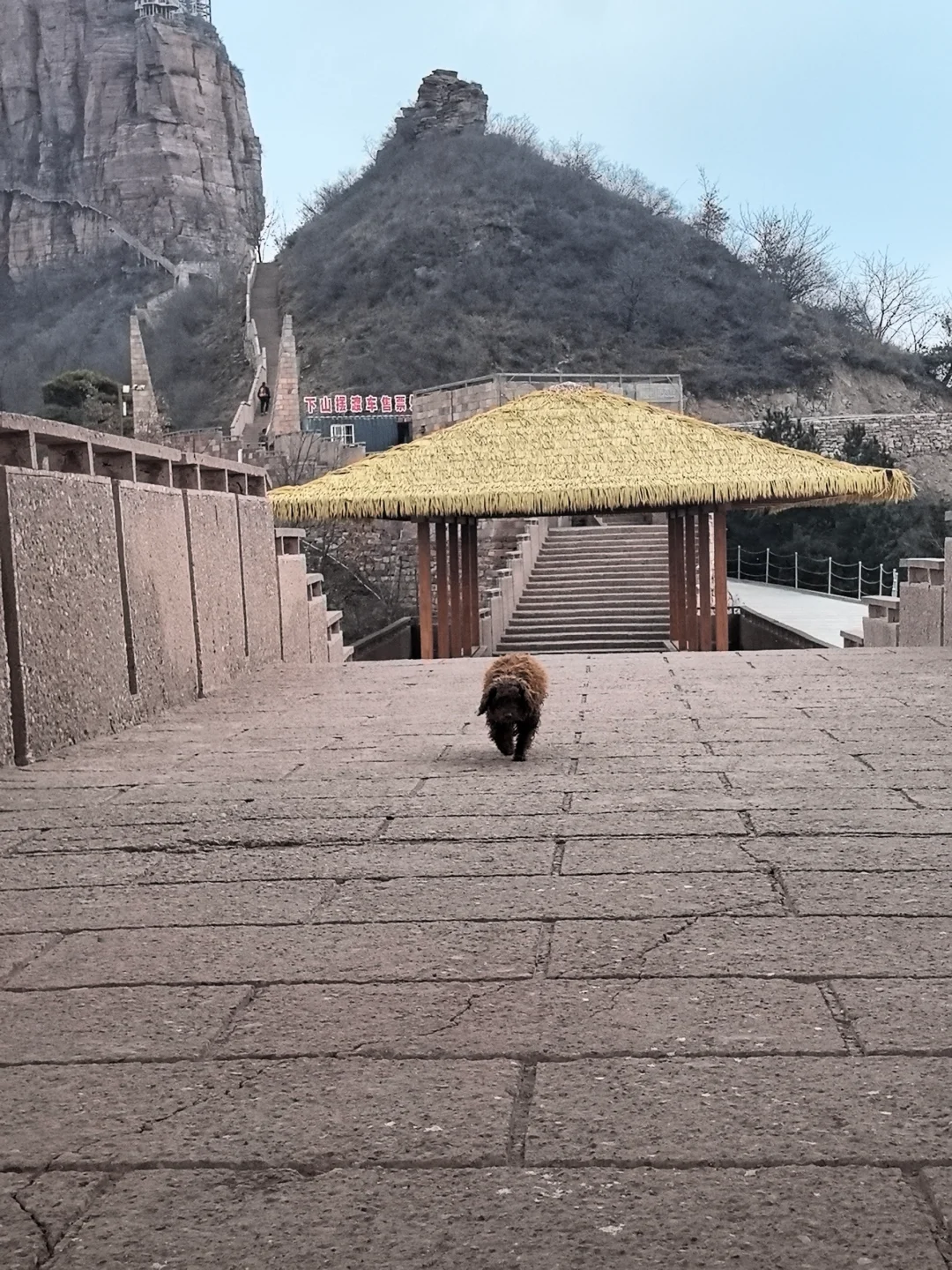 这么近，那么美