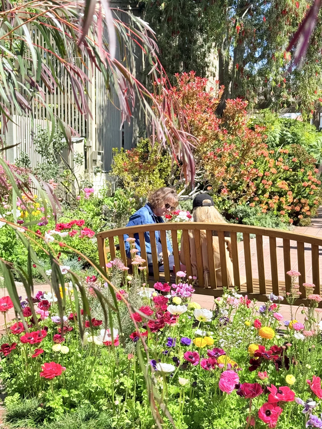 尔湾周边景点｜在Newport花的最值的5刀🌼