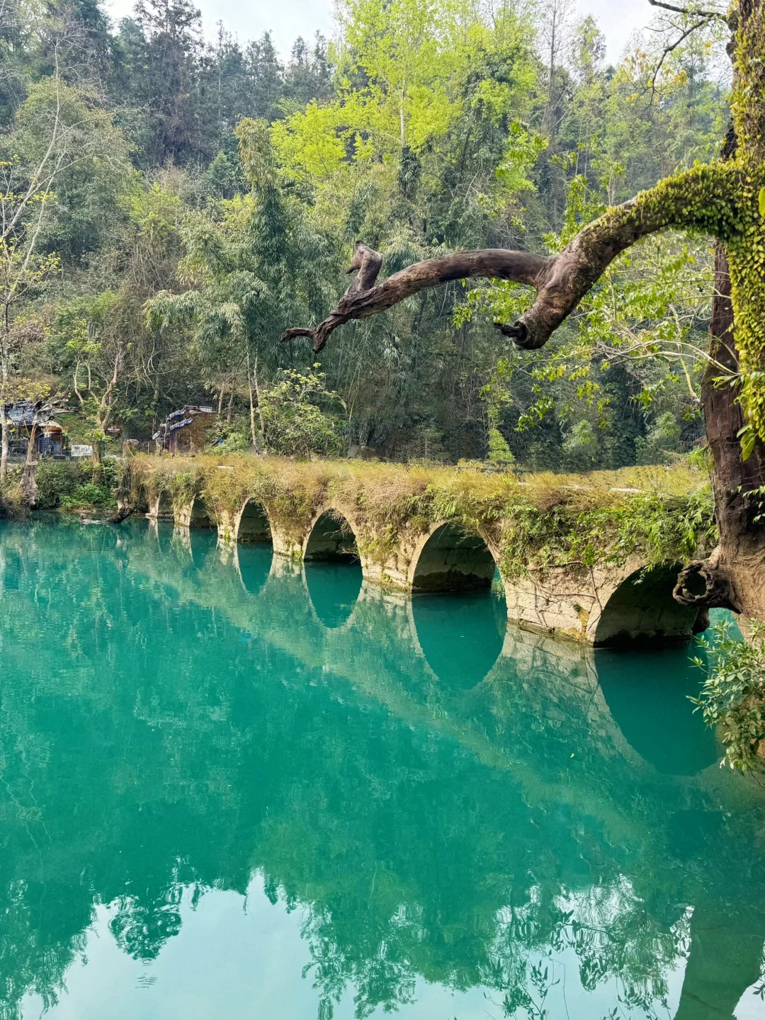 📍荔波 | 坠入人间绿宝石！ 太美啦～