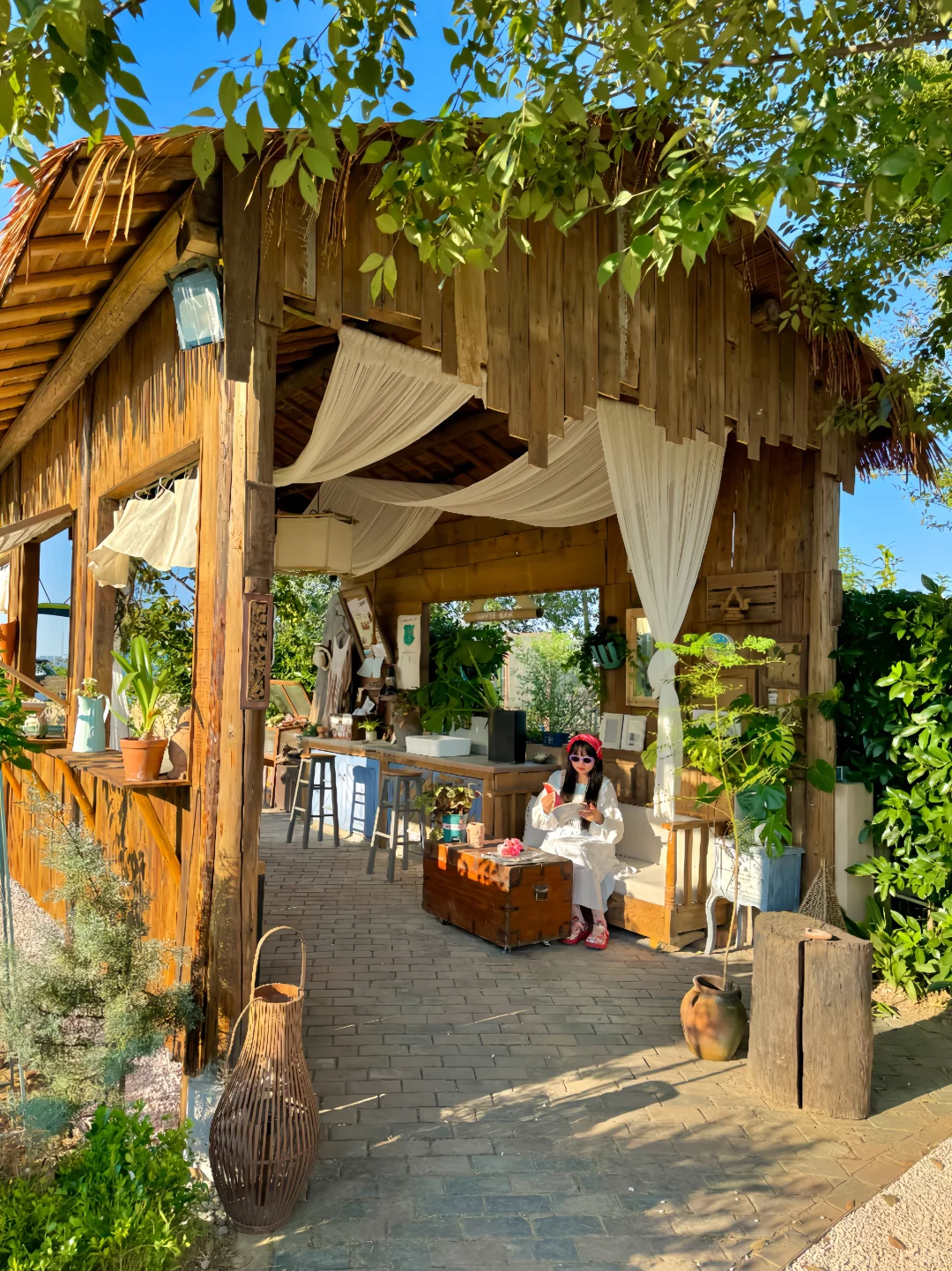 不是清迈！没去大理！这是南京…live😭