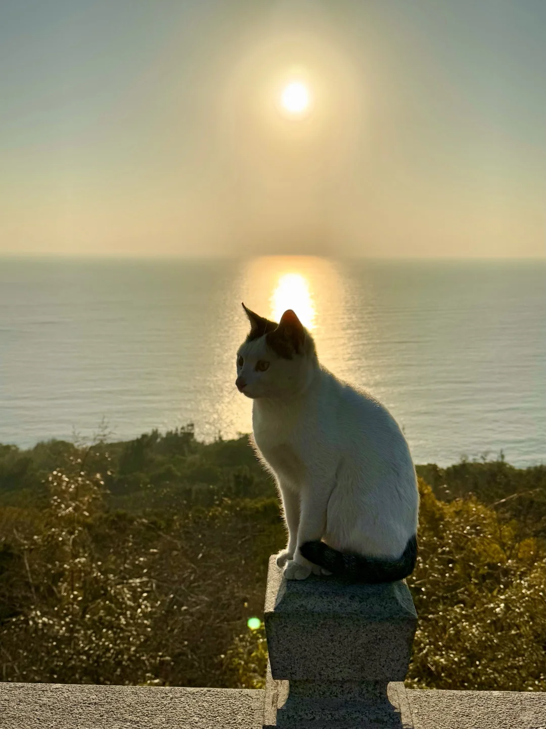 如果你来福建，可以去这座浪漫海岛～