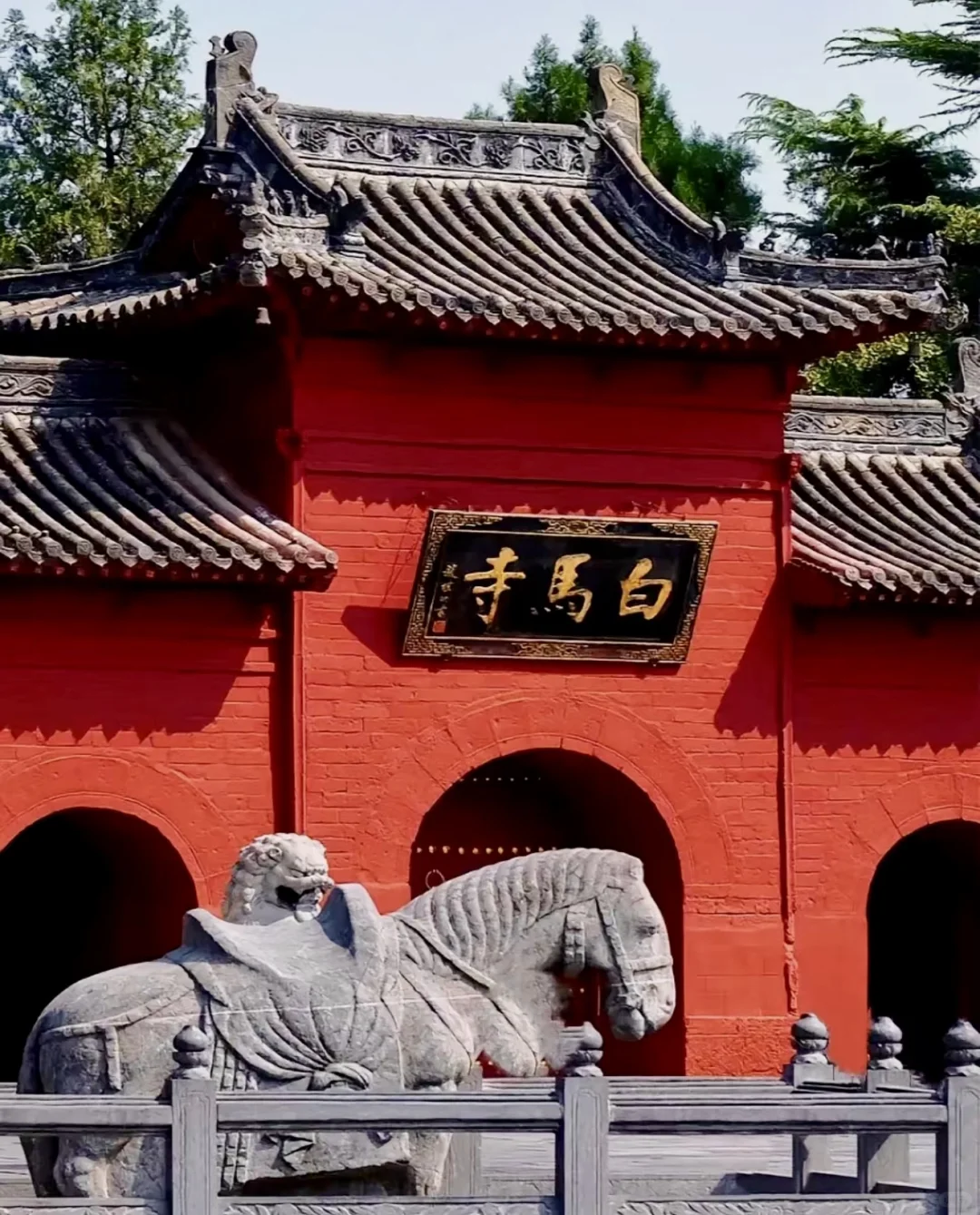 03女大📍洛阳/三天二夜详细版旅游攻略❗️