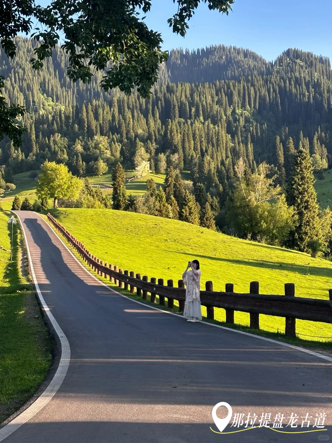 即将解封📍强推伊犁那拉提这个神级景点😭