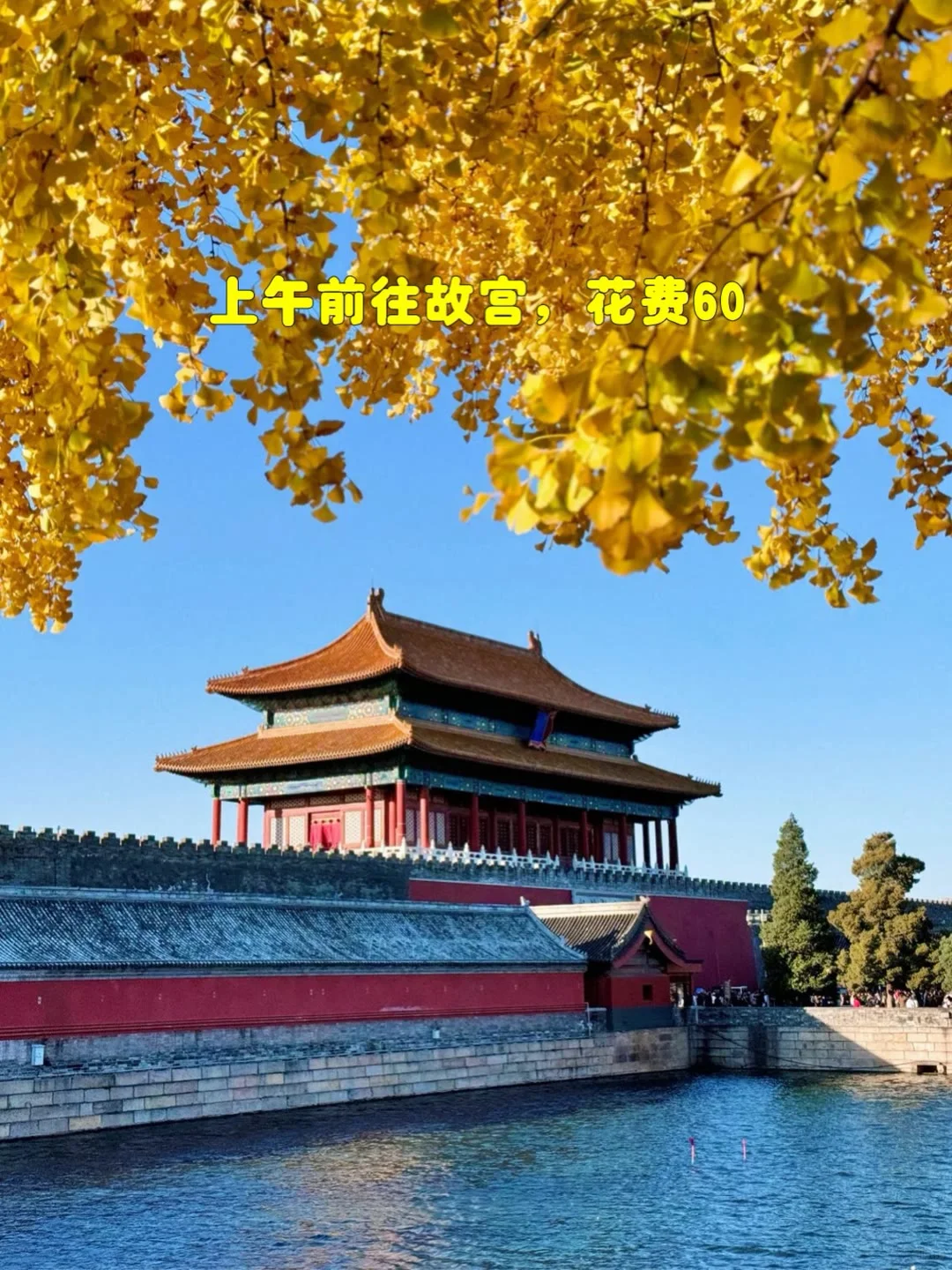 一起带爸妈去旅行吧✈️✈️