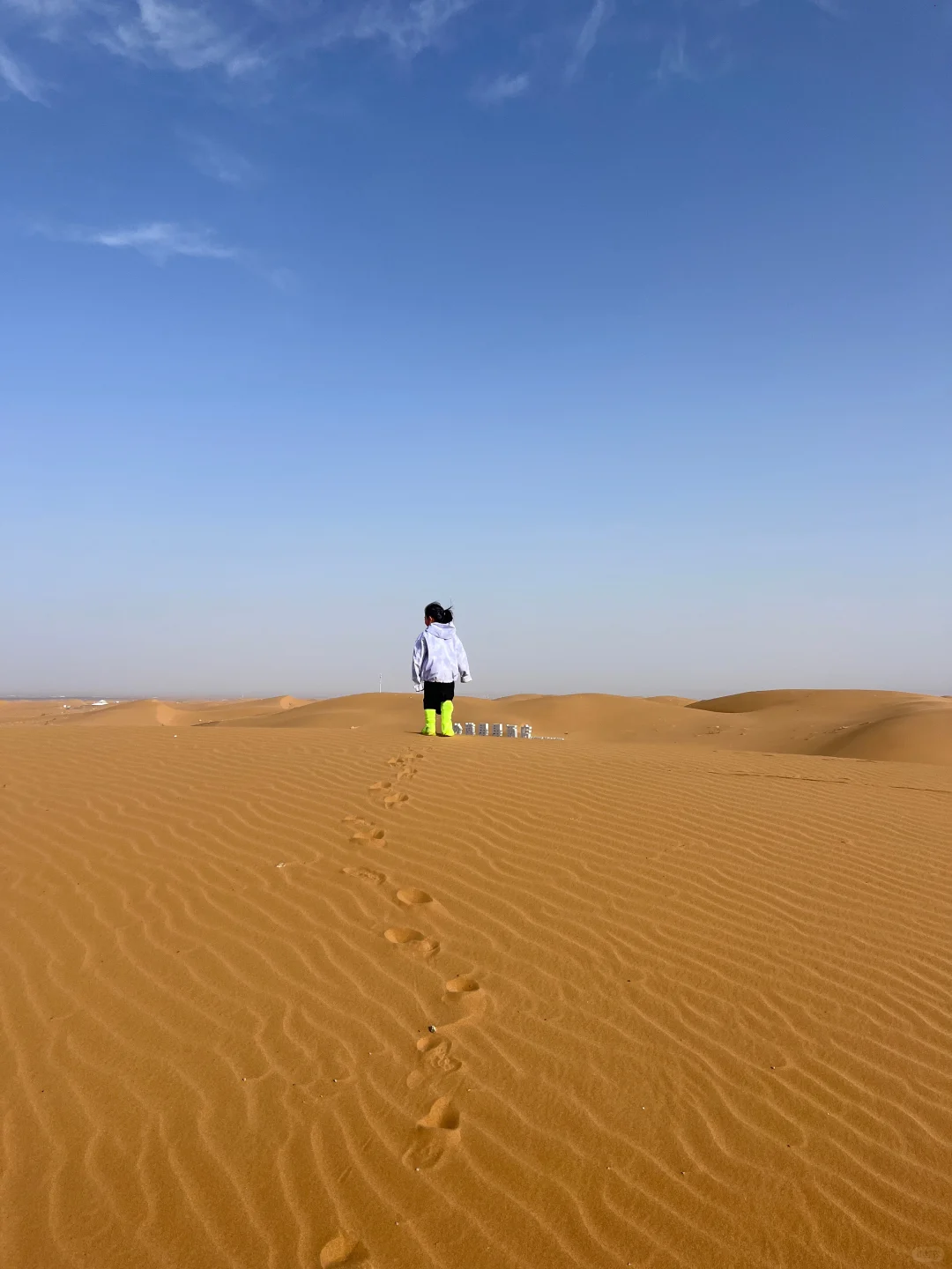 宁夏亲子游的家长:带娃去中卫4-6月yyds