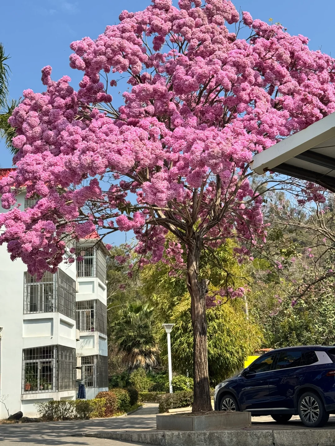 厦门最好的地方都是免费的……