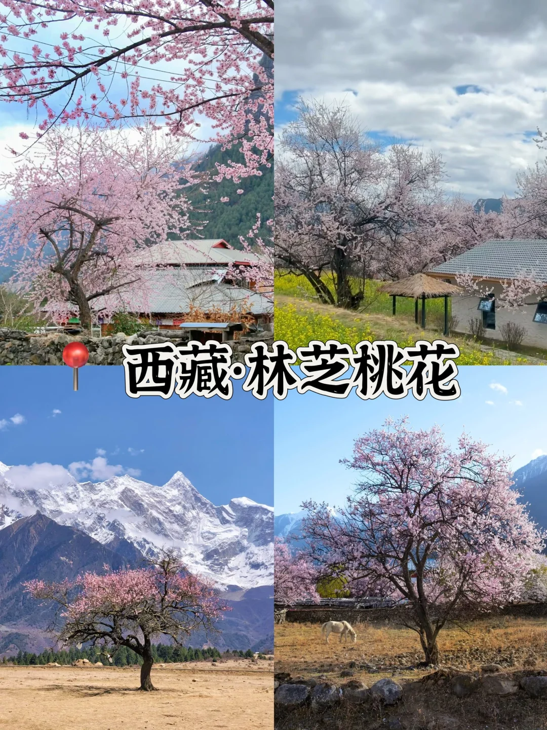 听劝‼️3-5月旅游一定来这🔟个城市感受春天