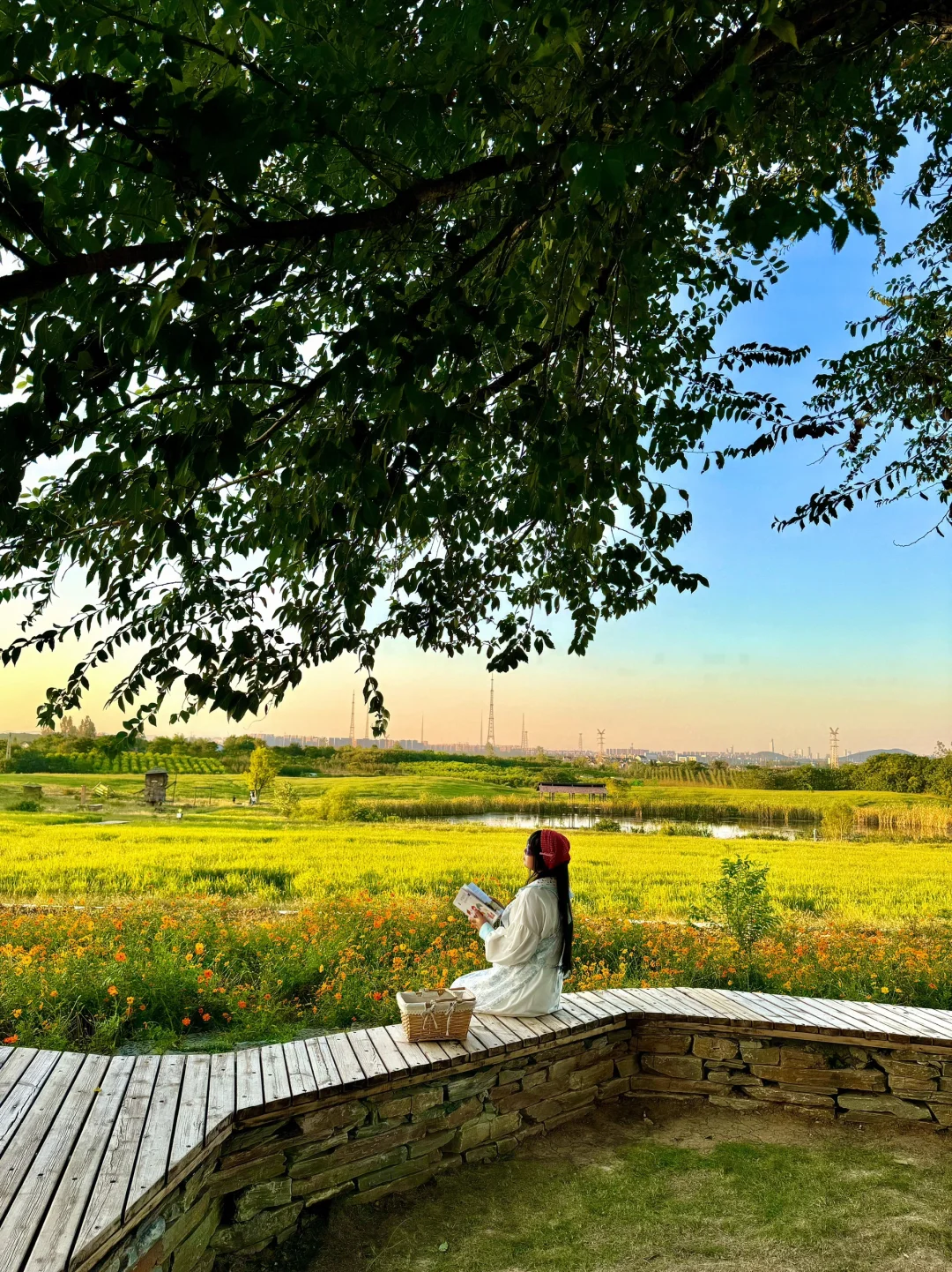 不是清迈！没去大理！这是南京…live😭