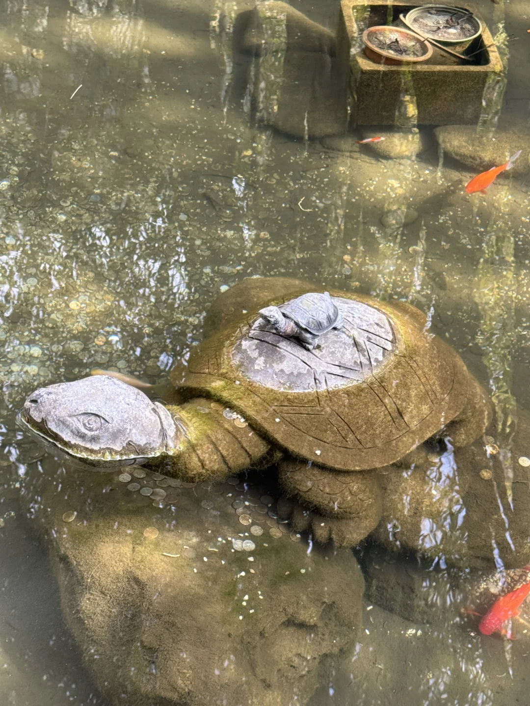 成都旅游出行不方便❓包车带你爽翻天🥰