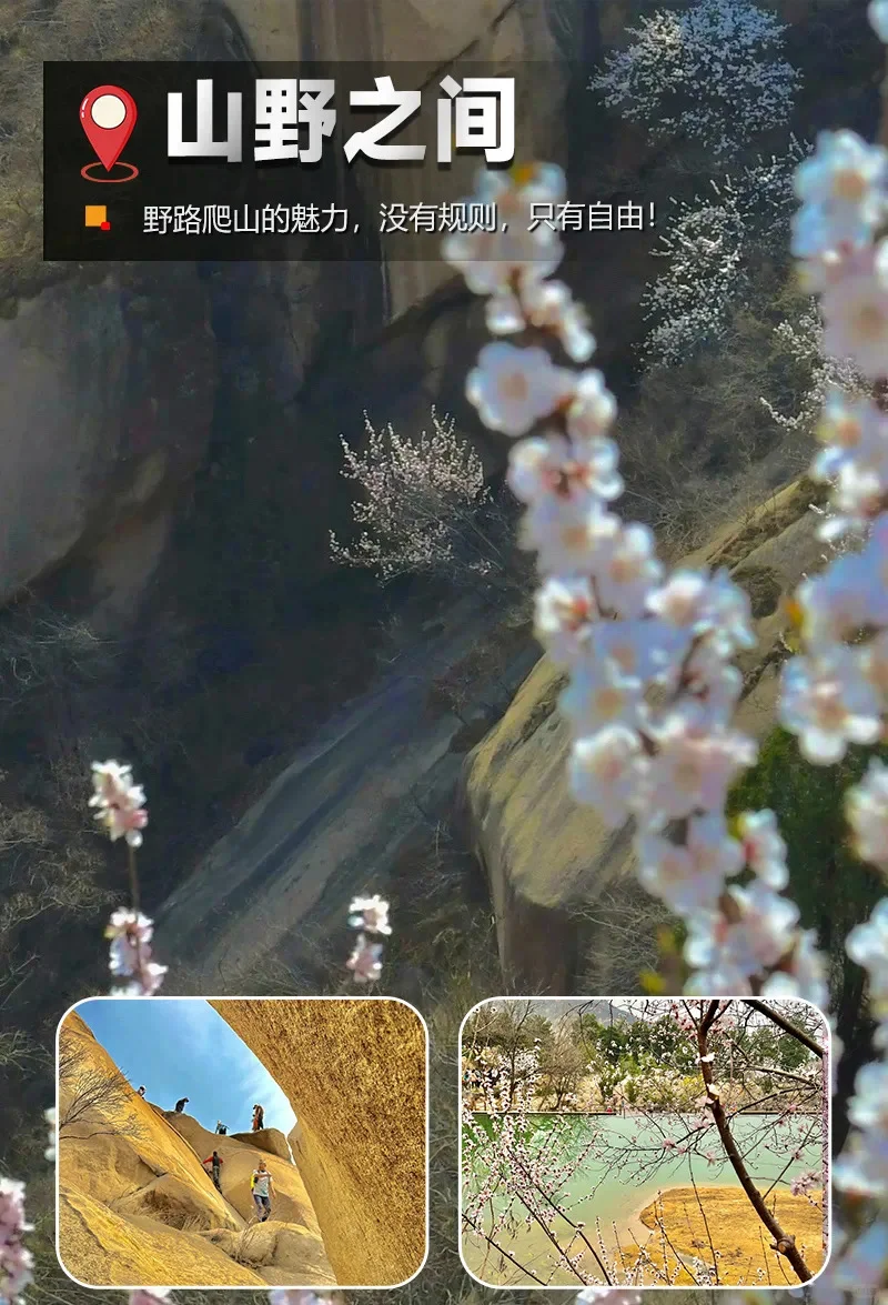 『赏花58/位』3.22周六凤凰岭后花园徒步