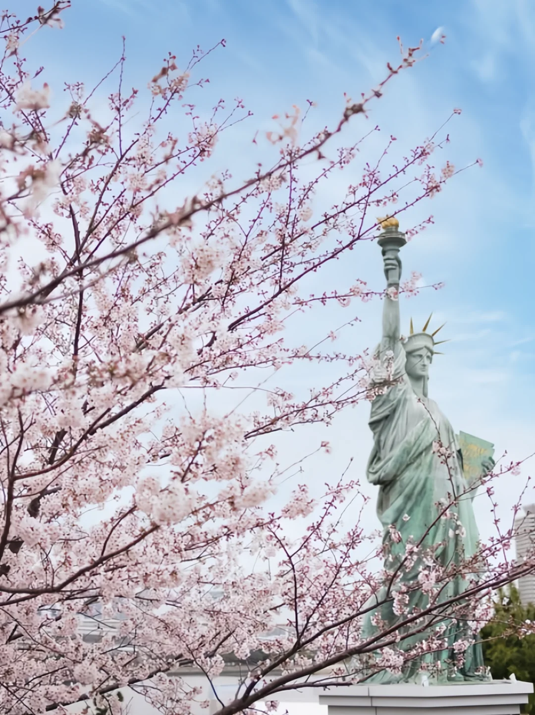 樱花季🌸酒店攻略