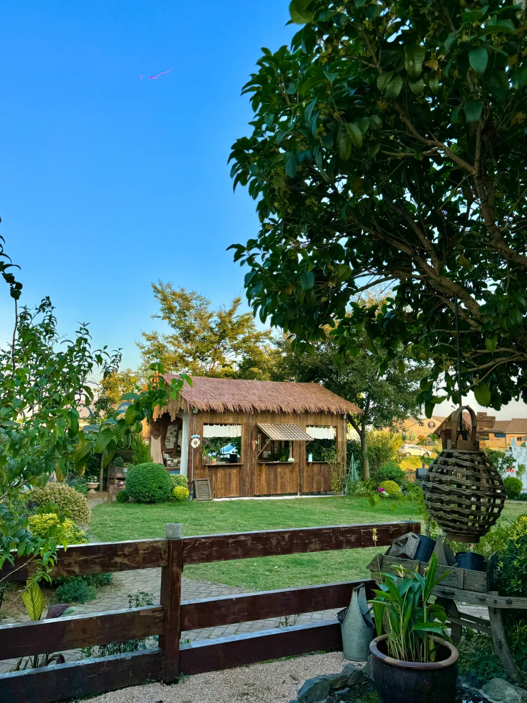 不是清迈！没去大理！这是南京…live😭