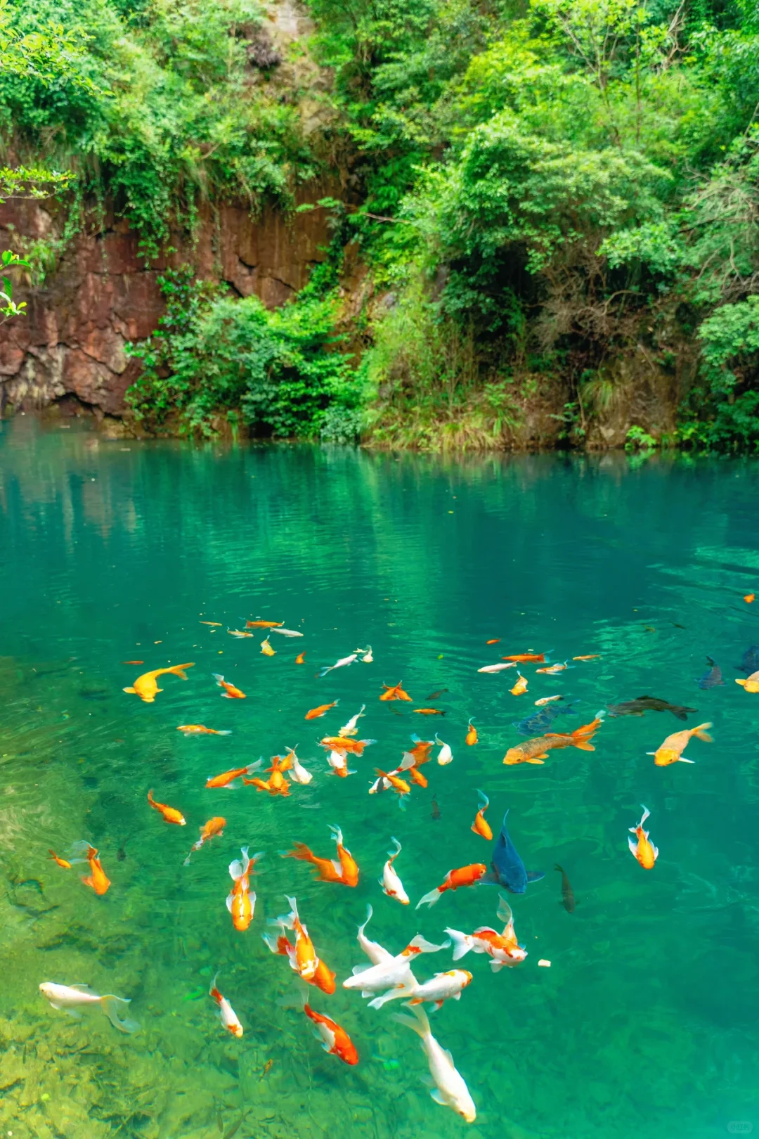 被国家地理评为最佳旅行地的宝藏小城有多绝