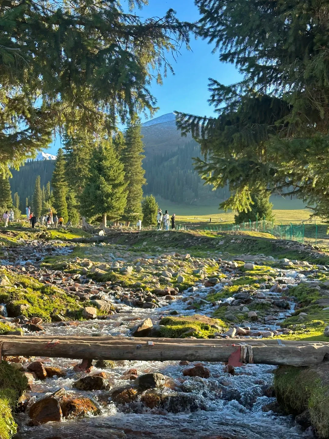 新疆报团大实话，大家听劝！！