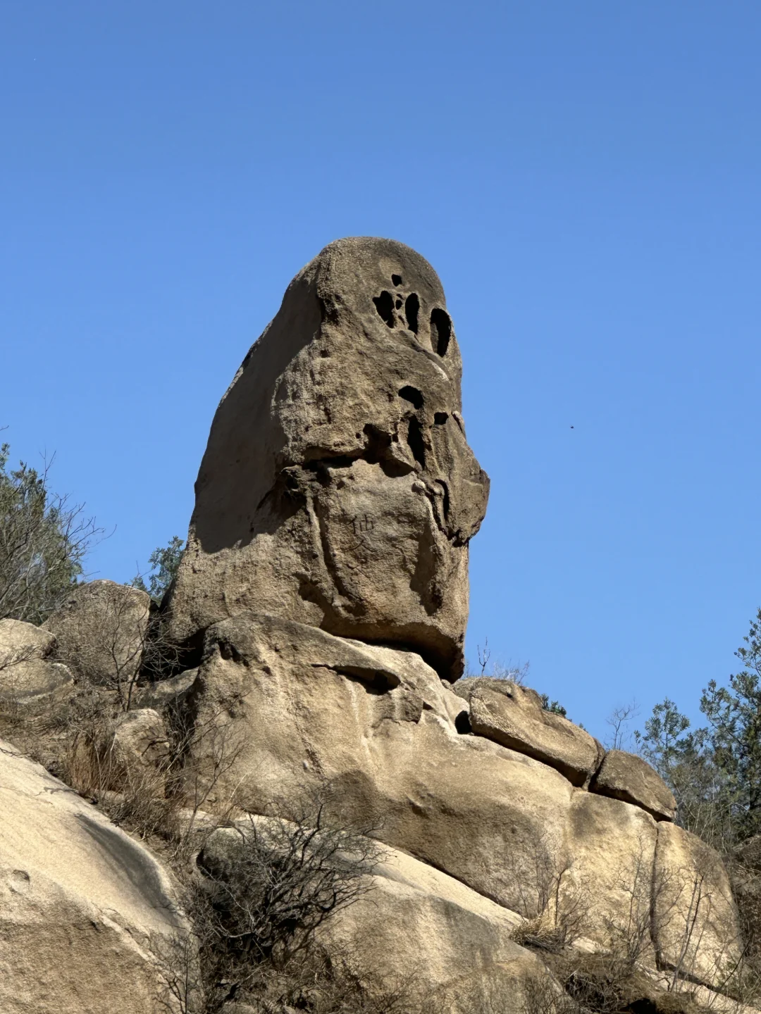 被追问无数次的北京春日徒步,邂逅梦幻花海