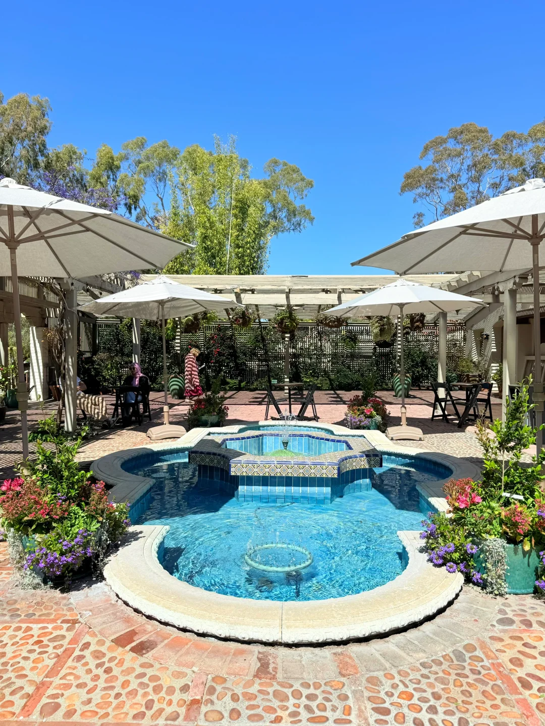 尔湾周边景点｜在Newport花的最值的5刀🌼