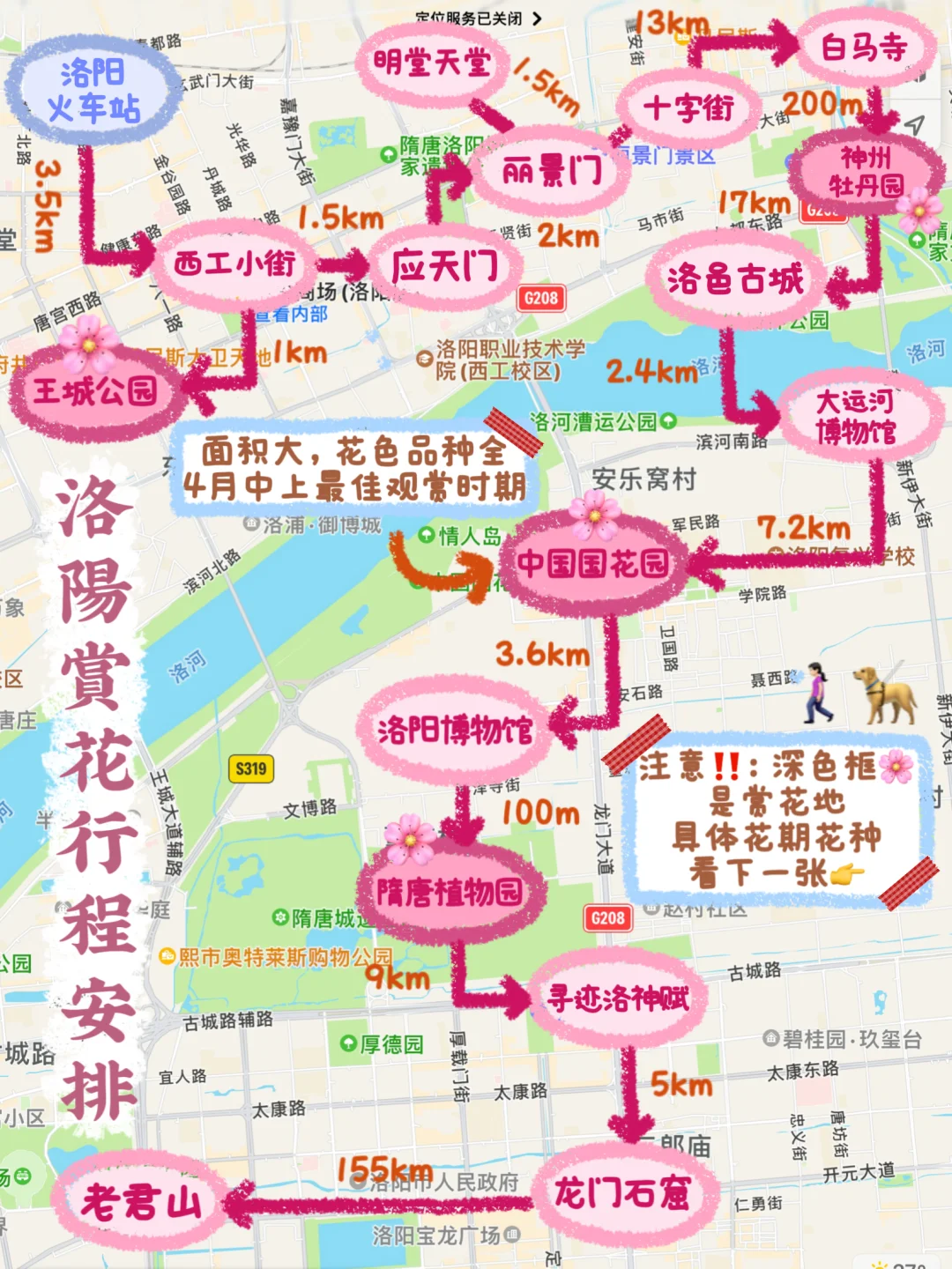 终于弄明白洛阳怎么玩不绕路‼️（附赏花攻略