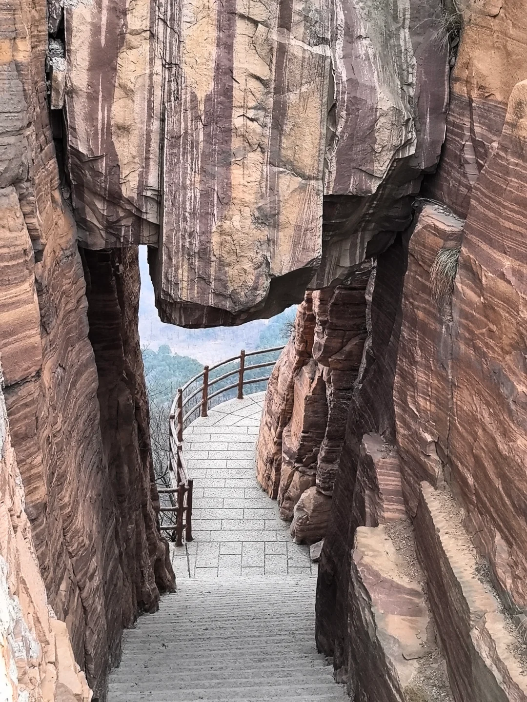 这么近，那么美