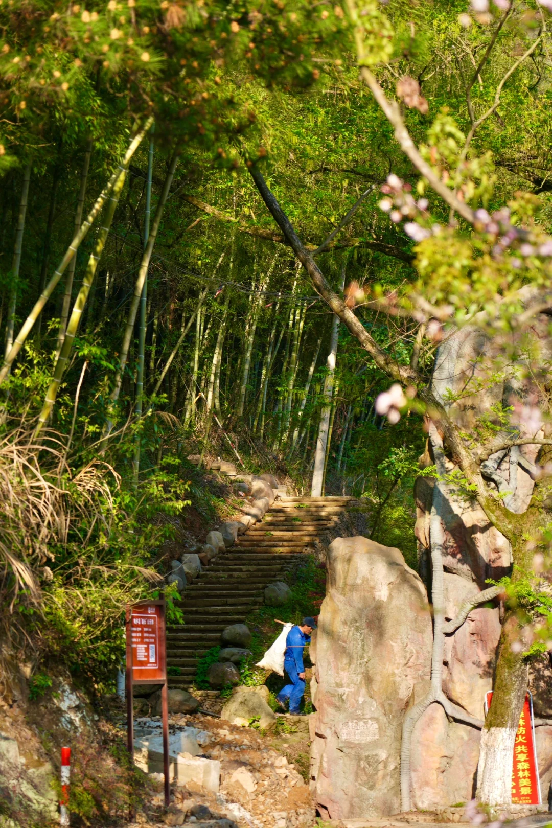 后悔为什么现在才去桐庐😭，两天一晚休闲游