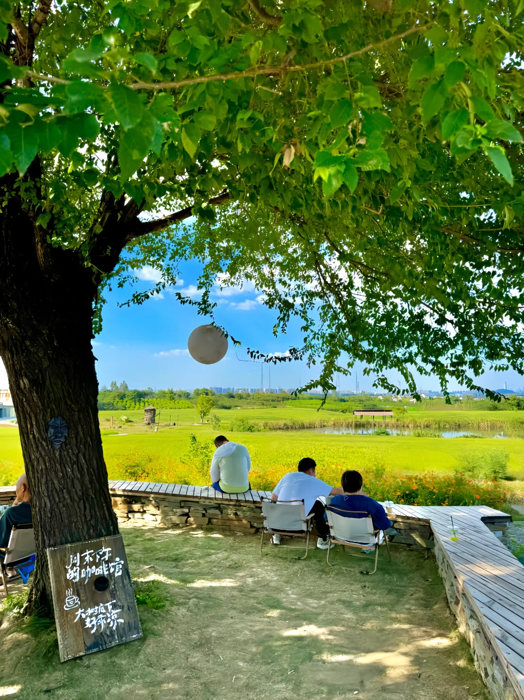 不是清迈！没去大理！这是南京…live😭