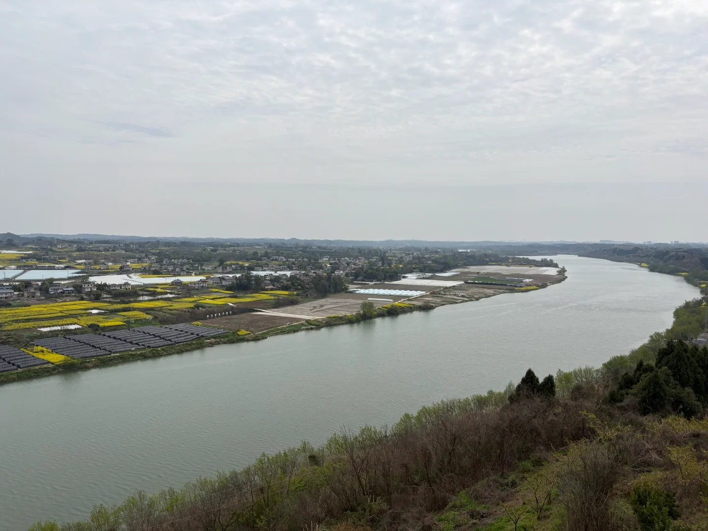 我们去看桃花啦~灵仙·金渔桃源