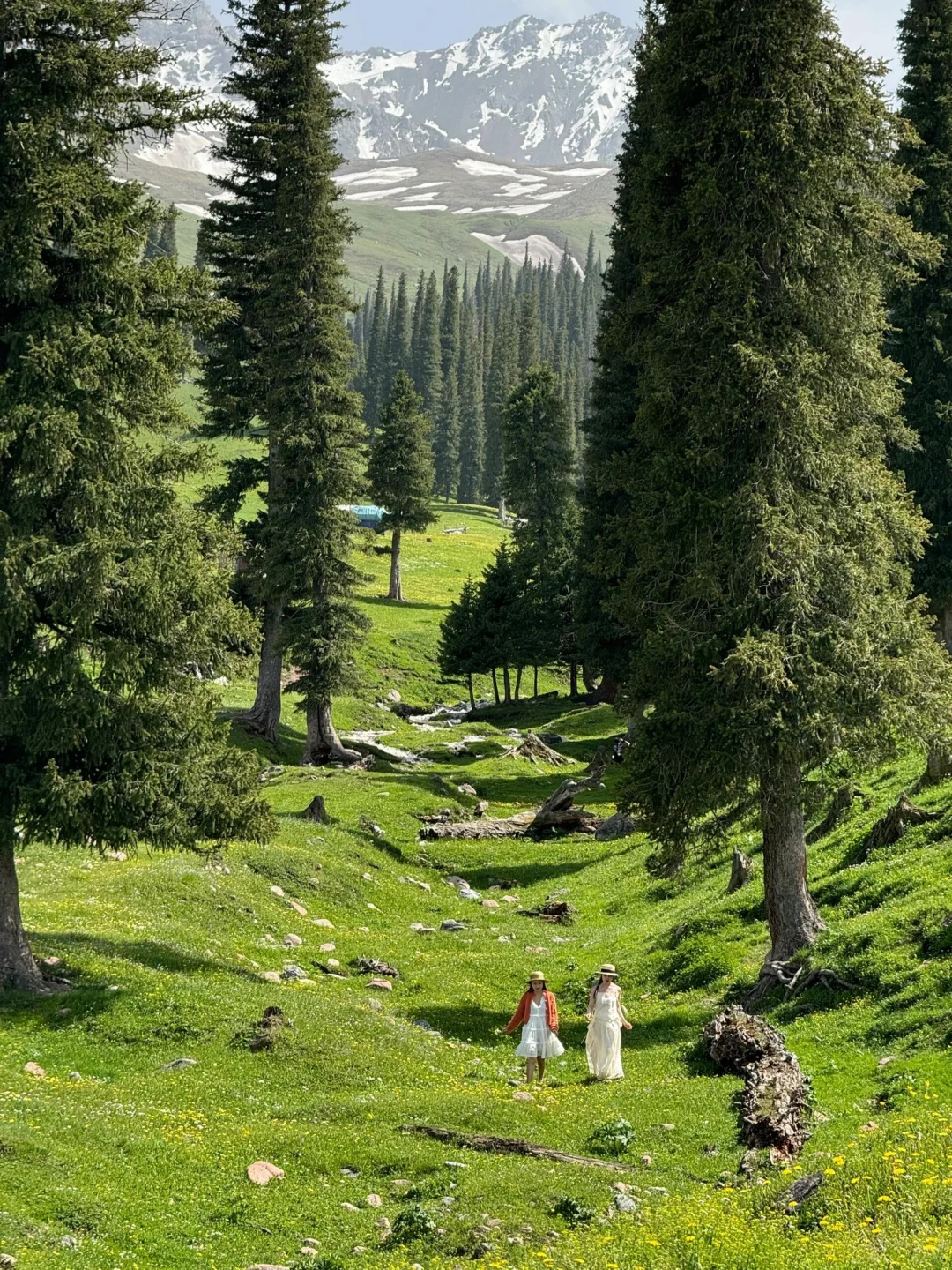 伊犁同款那拉提跟拍