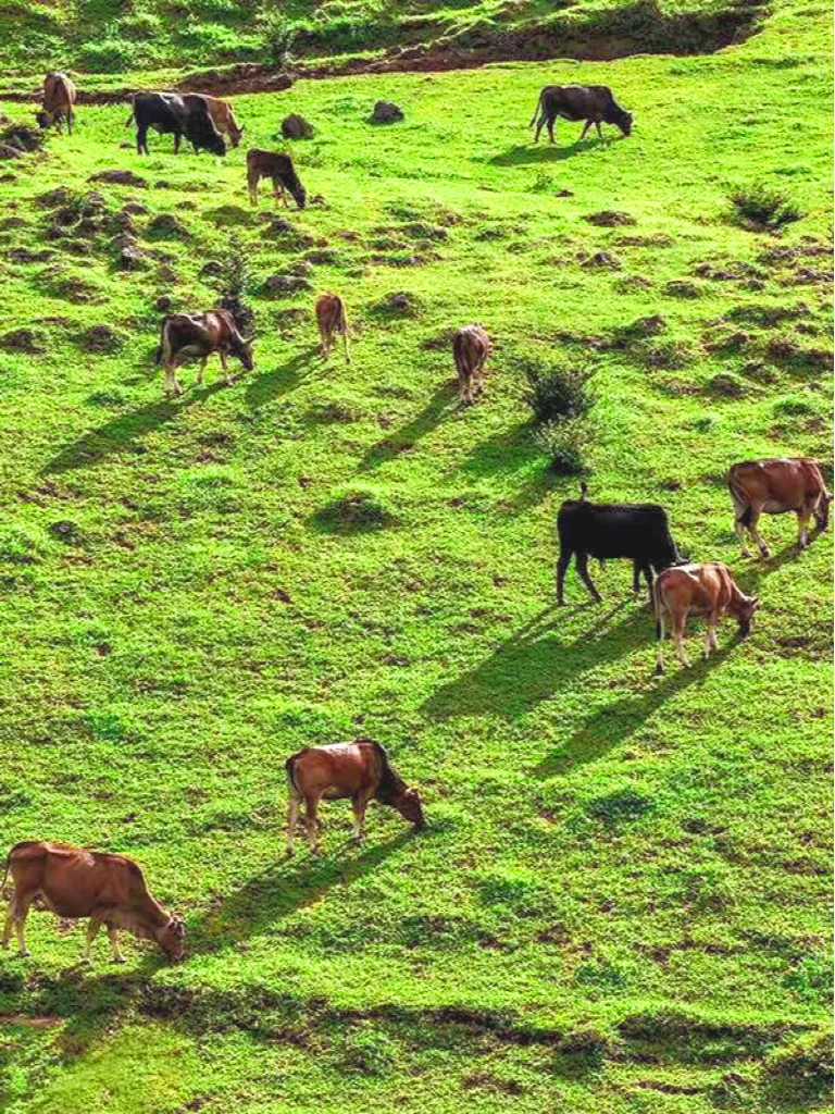 真的在广东！我走过最舒服的高山草甸徒步线