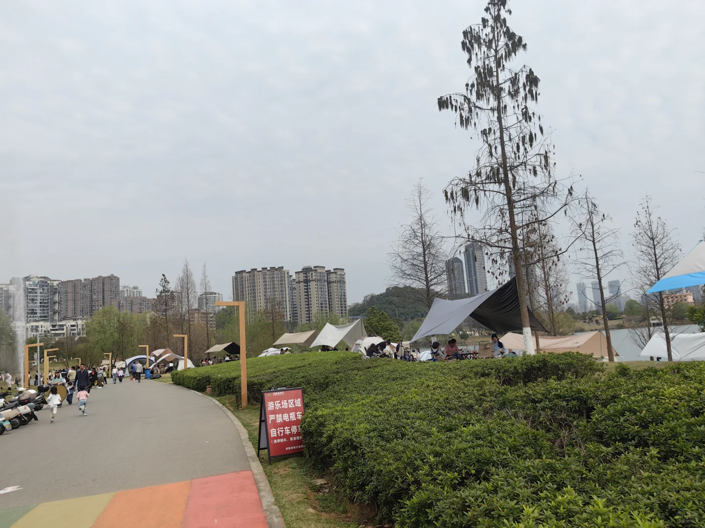 咸嘉湖景区露营桌椅出租了