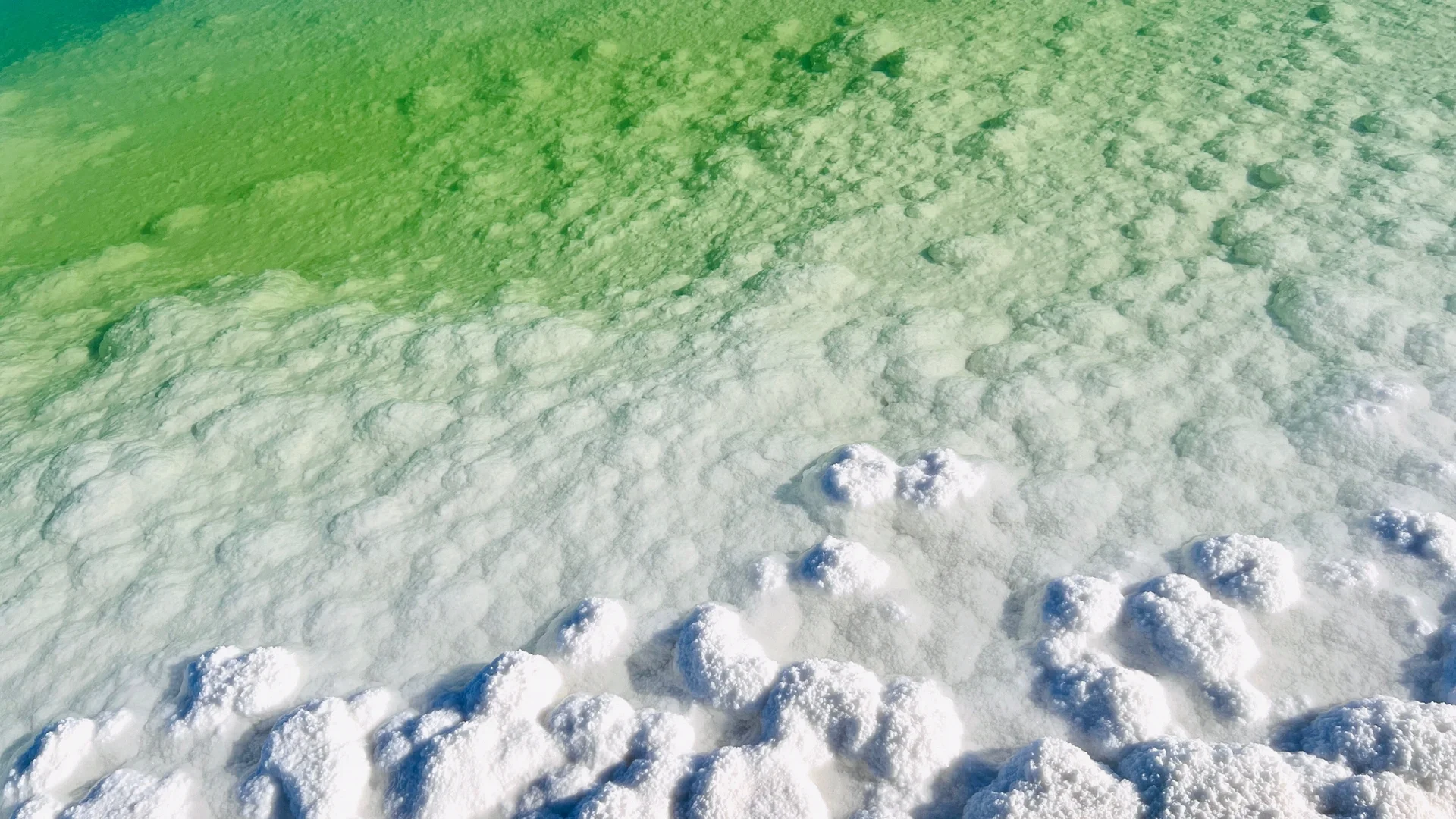 去年五月去西北报了个小团，体验真没想到