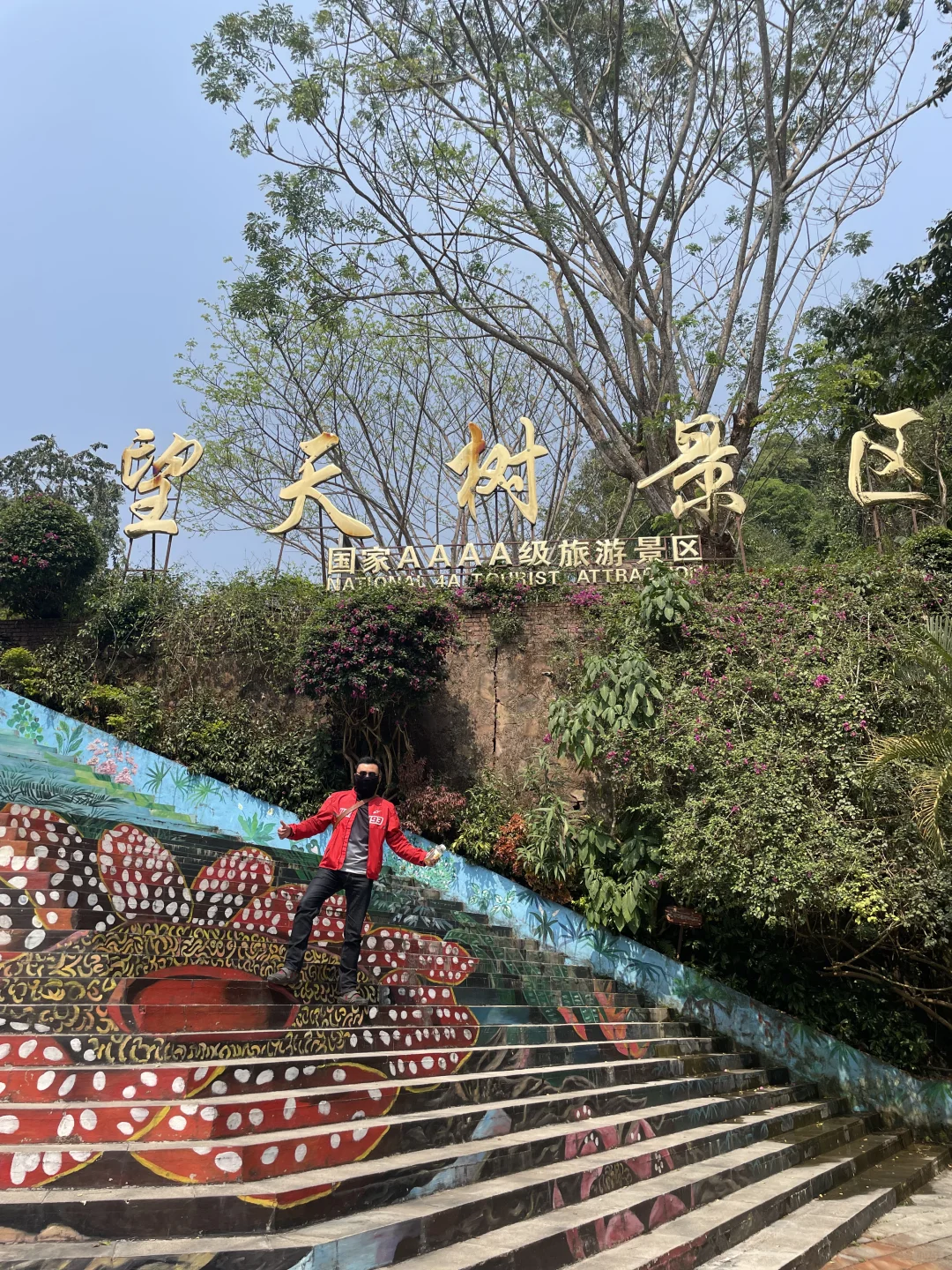 望天树景区现状