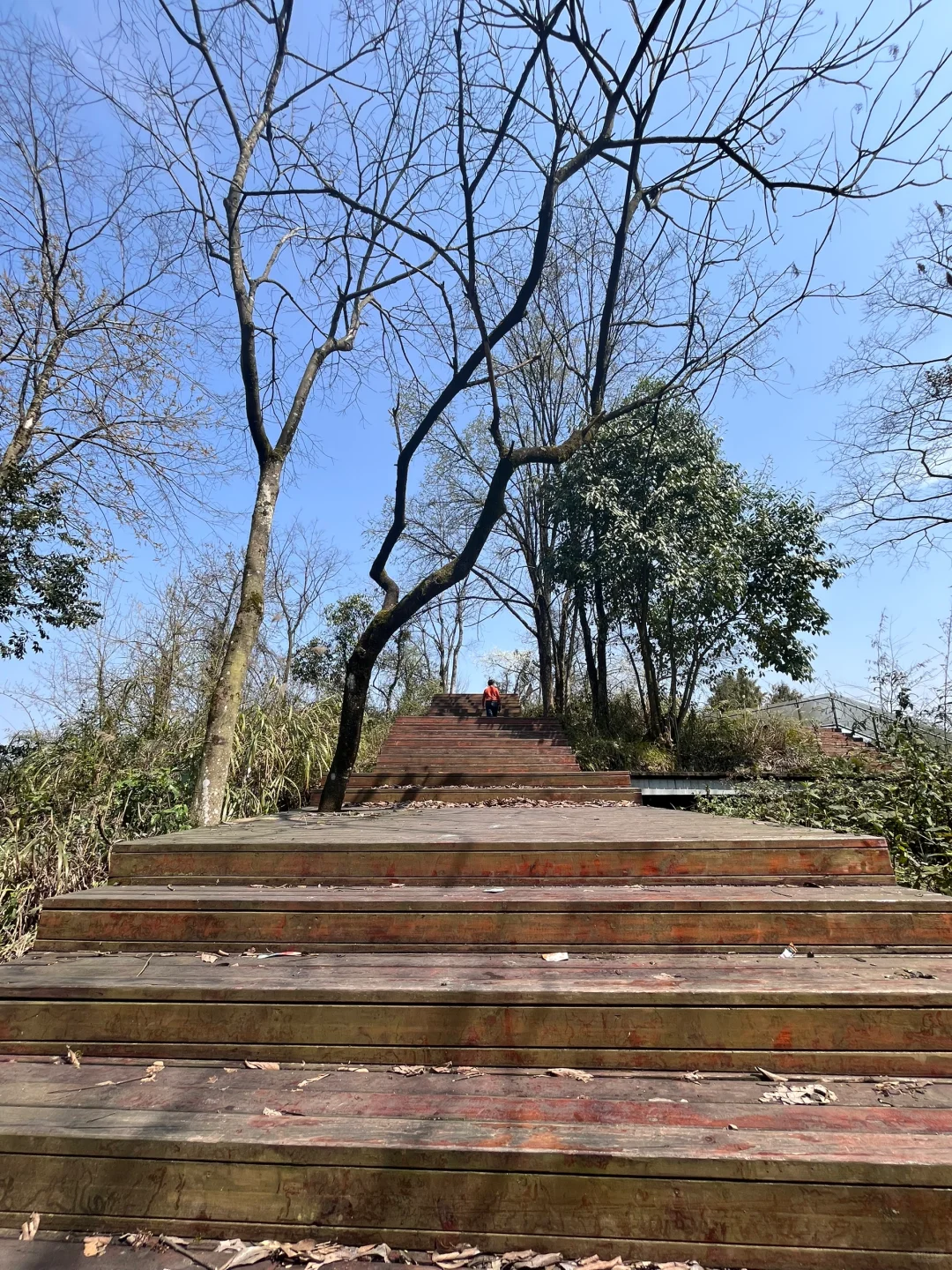 周边游|八角山景区