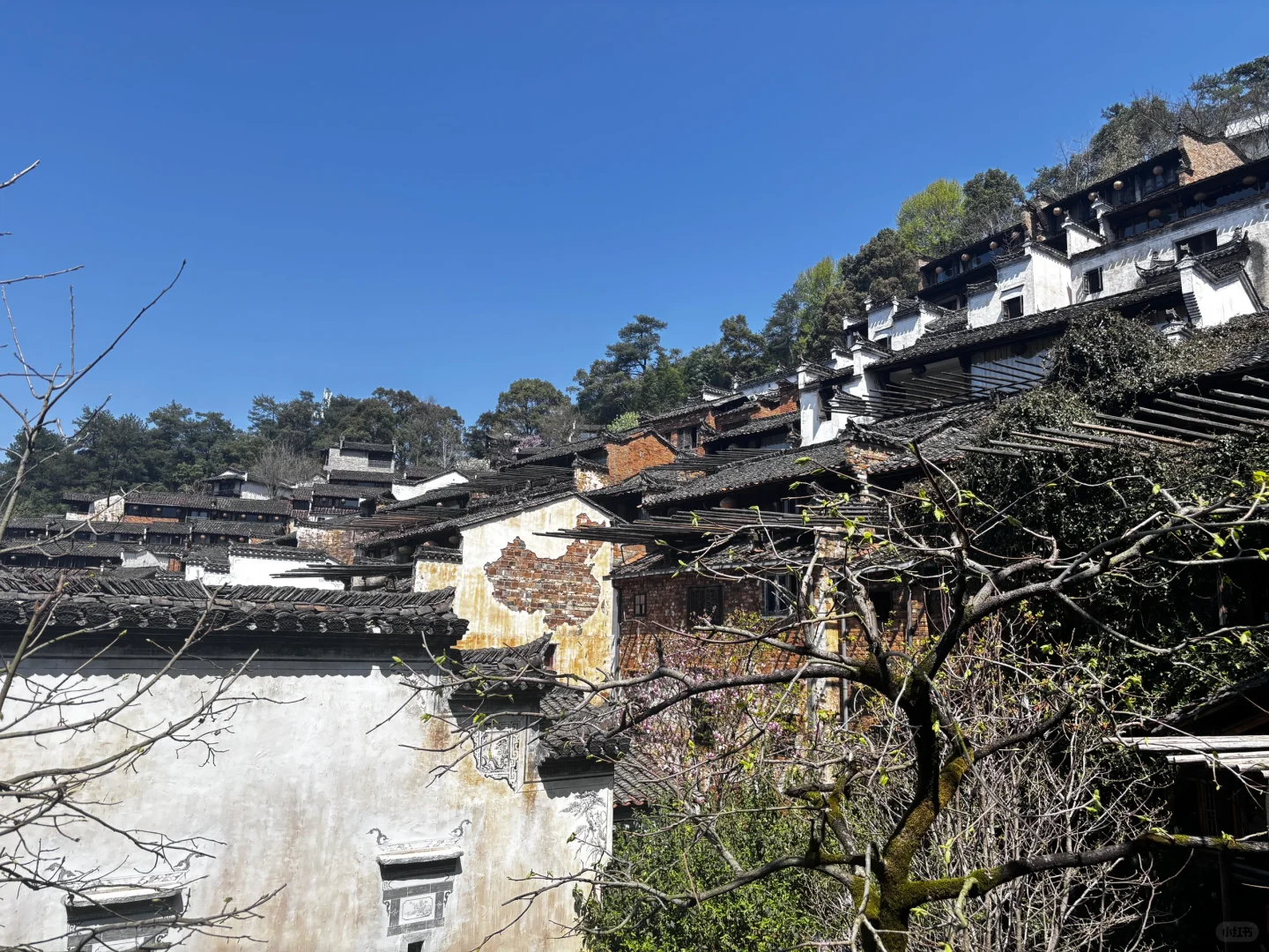 📍江西婺源 篁岭 真心不推荐