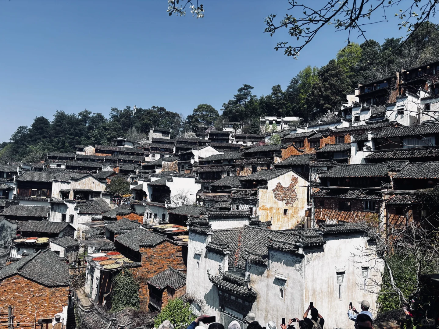 📍江西婺源 篁岭 真心不推荐