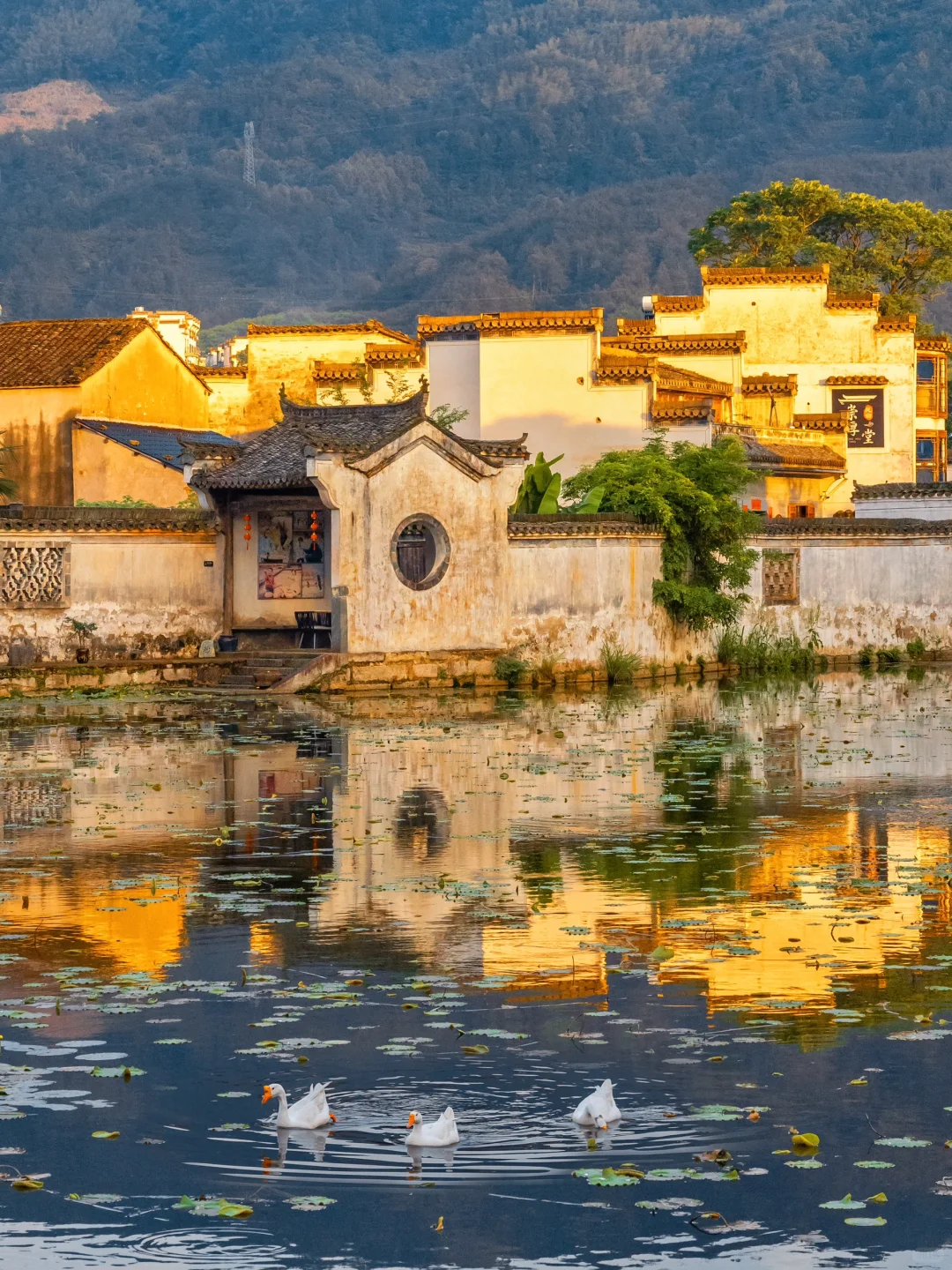 以为宏村已经够美了，直到我去了这里…