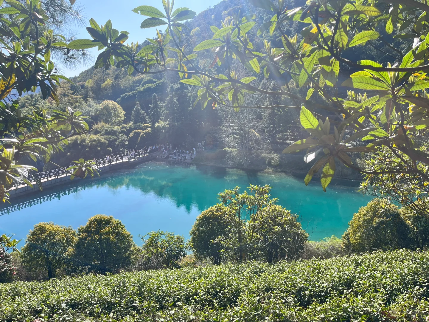 3.30 | 苏州小众踏春赏花景点‼️🤩