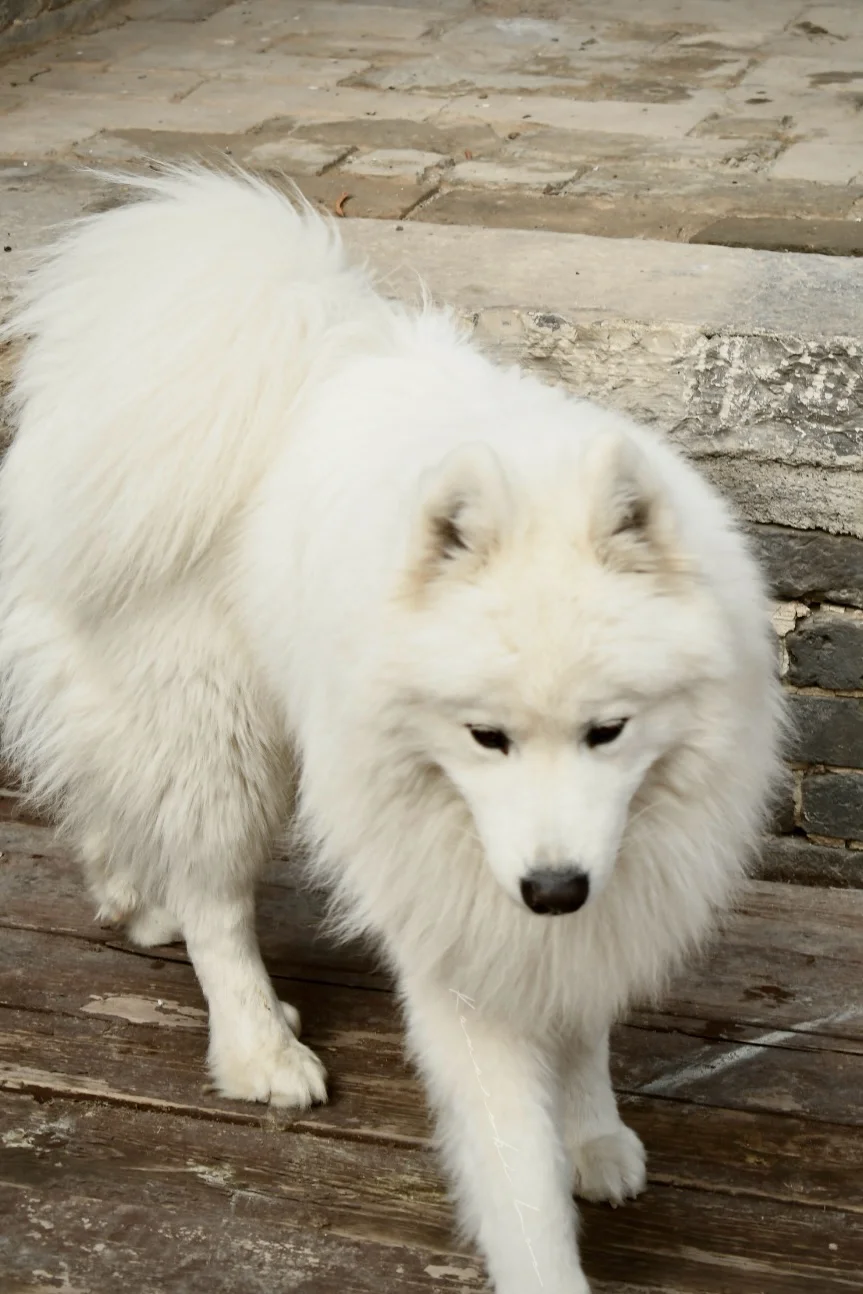 00后毕业在景区工作是什么体验