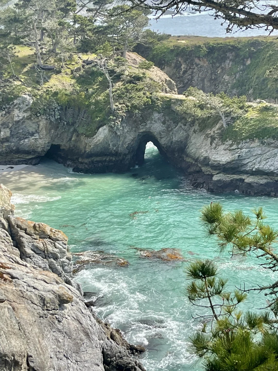 加州平替Hawaii 都给我去Carmel！附超强攻略