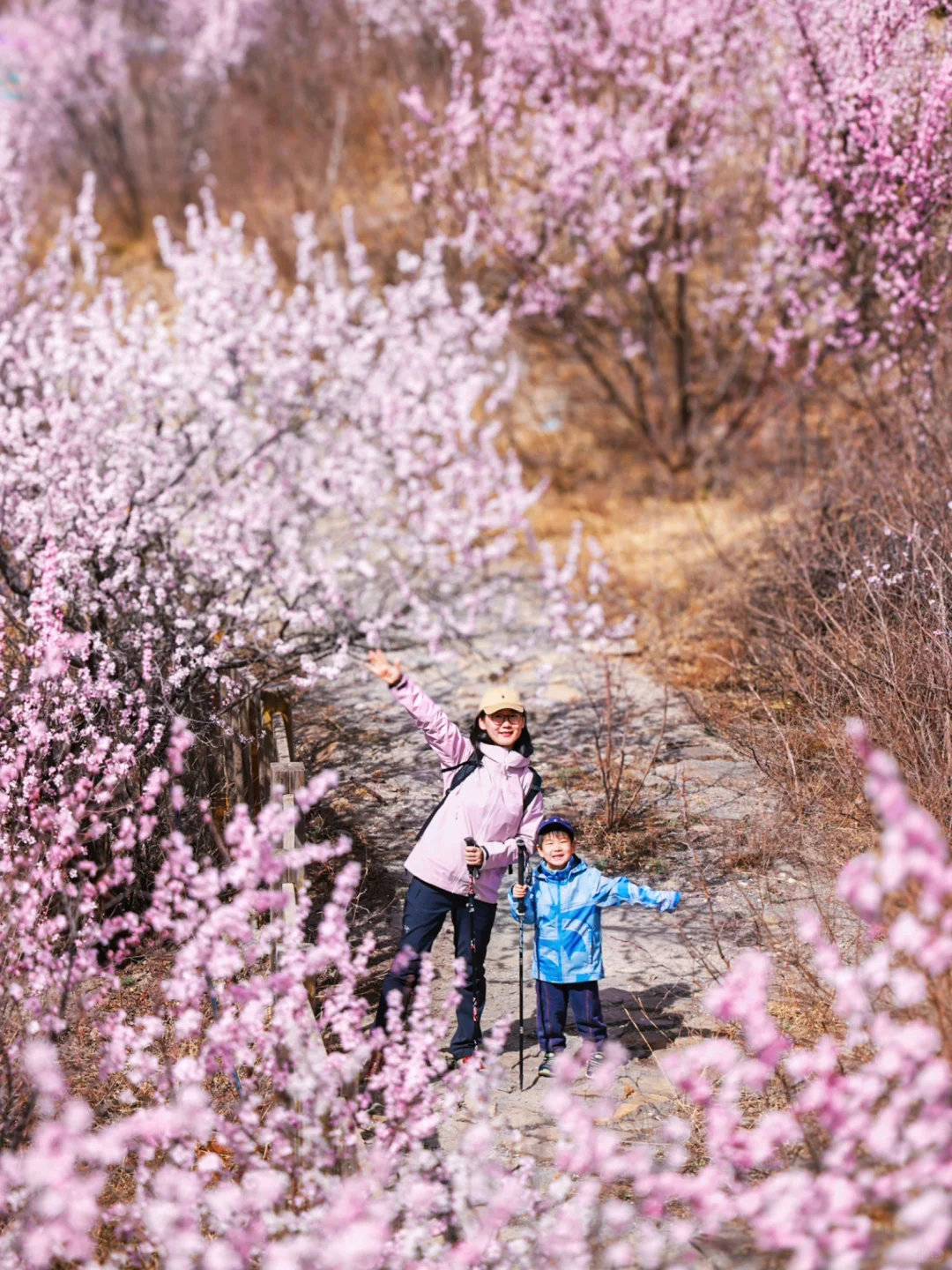 3.20❗️北京蕞适宜全家小众赏花路线宠物友好