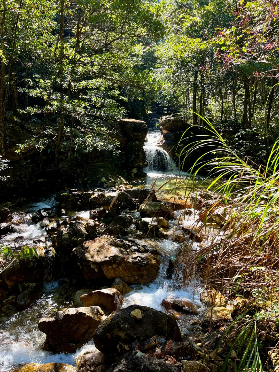 丽水秘境徒步｜阳光洒落 潭水如钻🍃🧊🫧