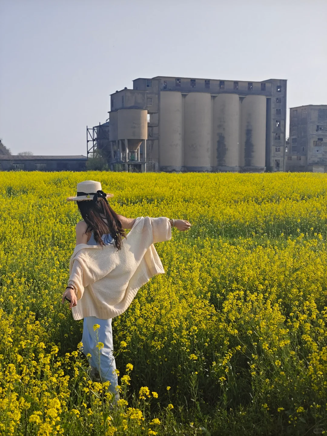 一眼万年的油菜花海🍃