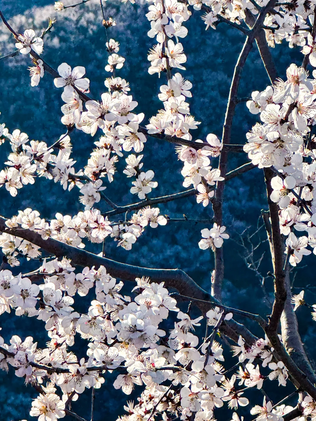 3.22 白虎涧 带上你最好的相机冲冲冲!