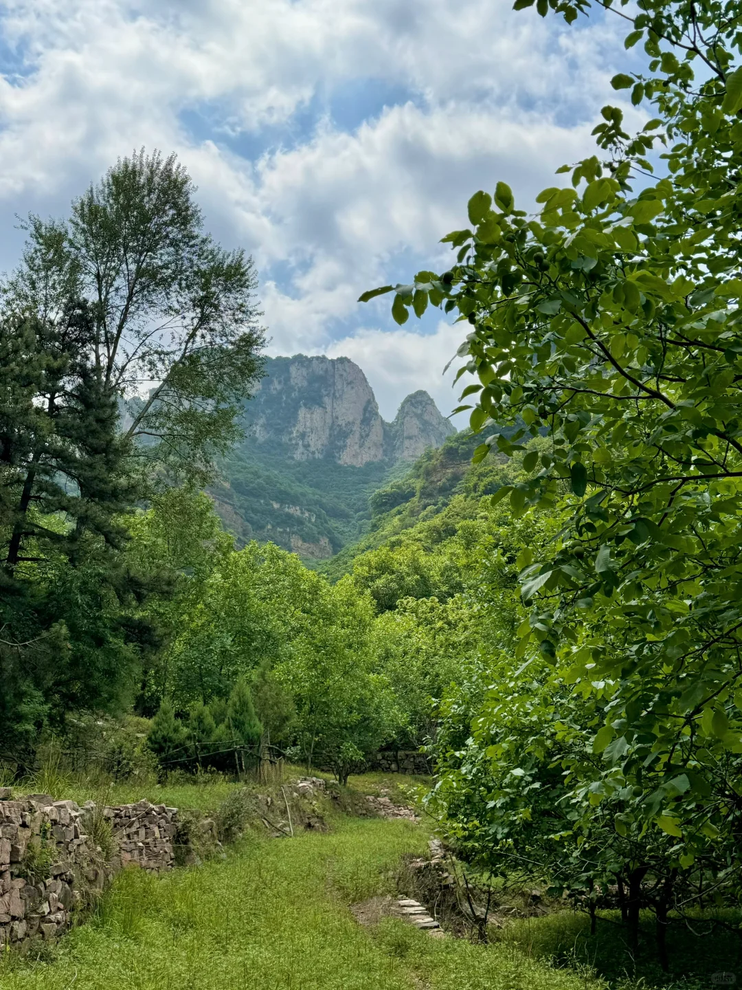 距离邯郸🚗1.5h的小众森林🌲🌲