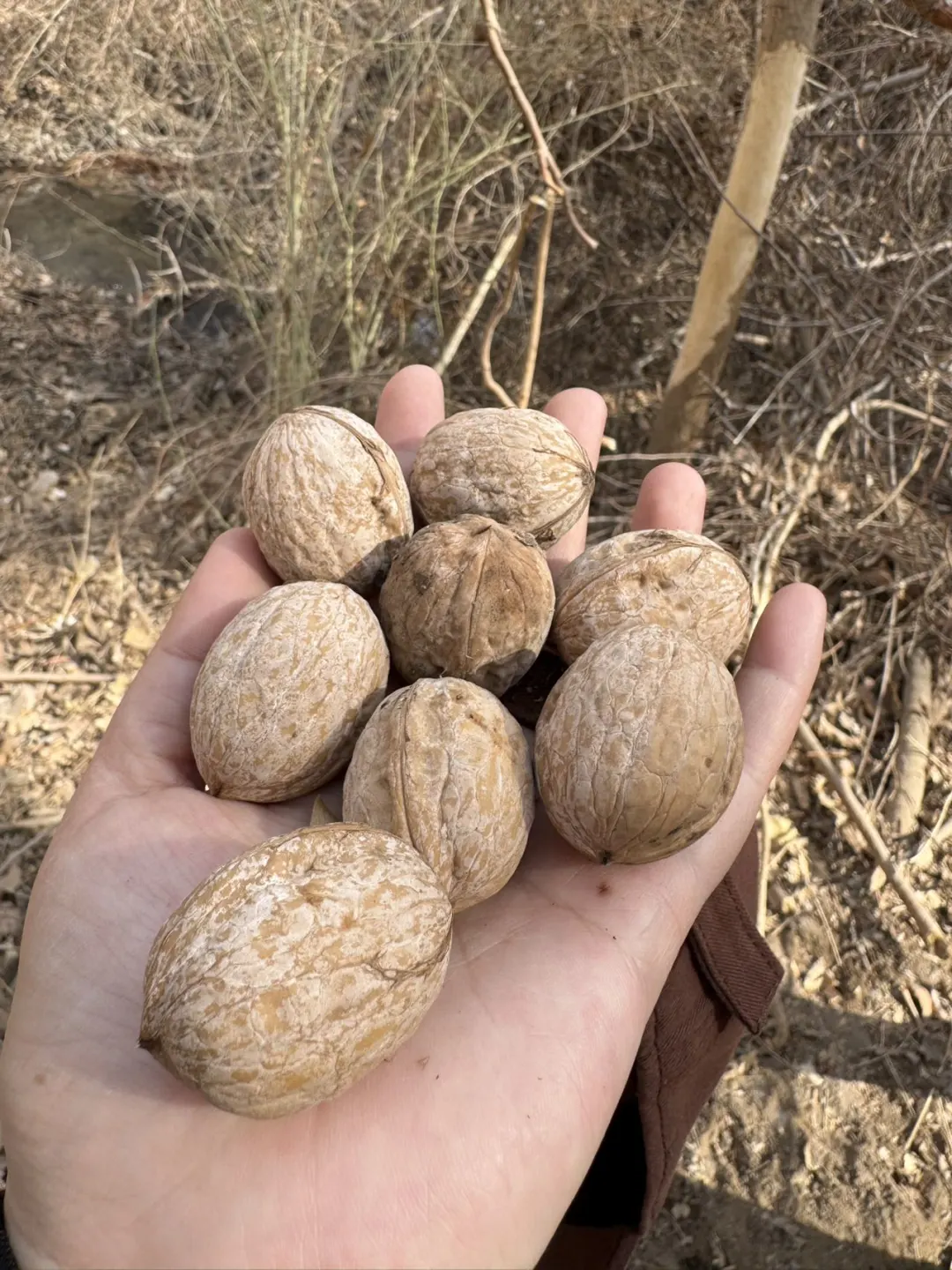 肉孜节|2️⃣个短途亲子出游小众地➡️线路