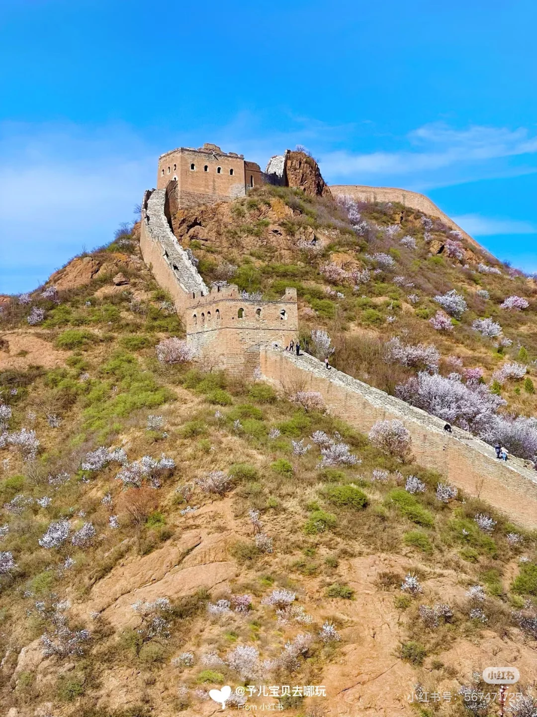春日户外遛娃🌸这里必须踮起脚来推荐❗️