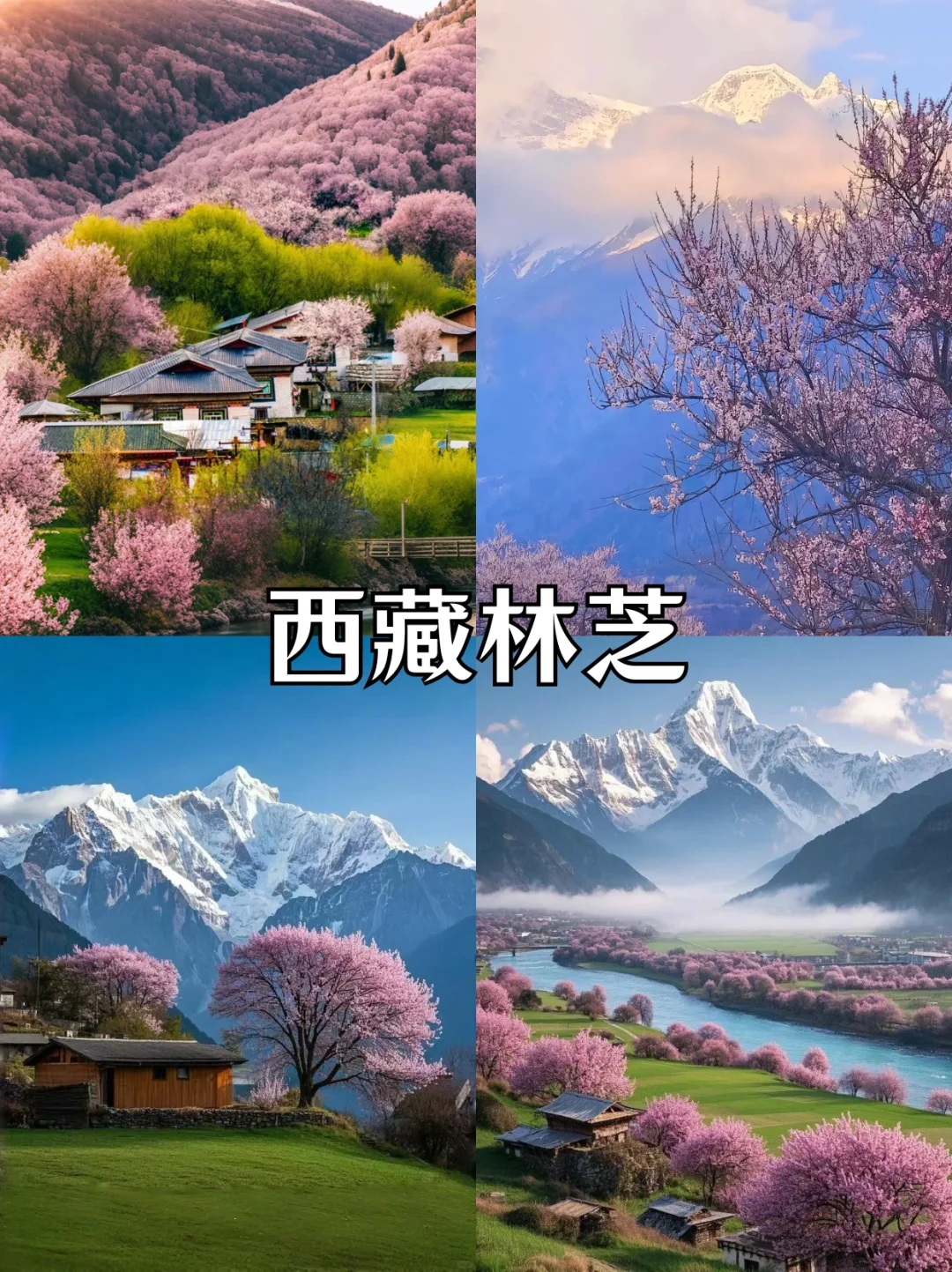 小长假适合去哪？快来看看有没有你计划的吧