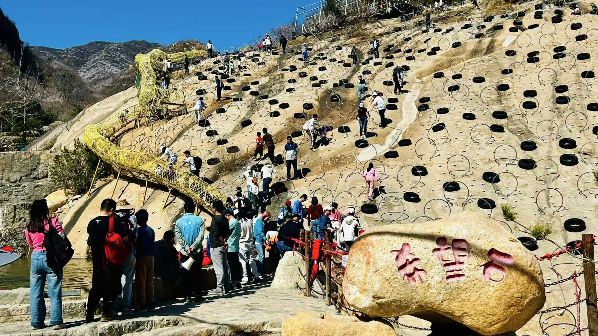 3月22日后花园，这山这花这人间值得❤️