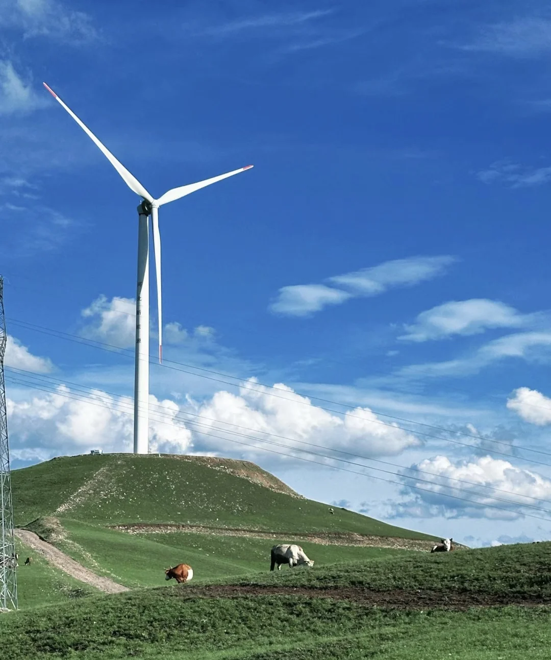 自驾｜达达线｜热阿线 真的非常值得去！！！