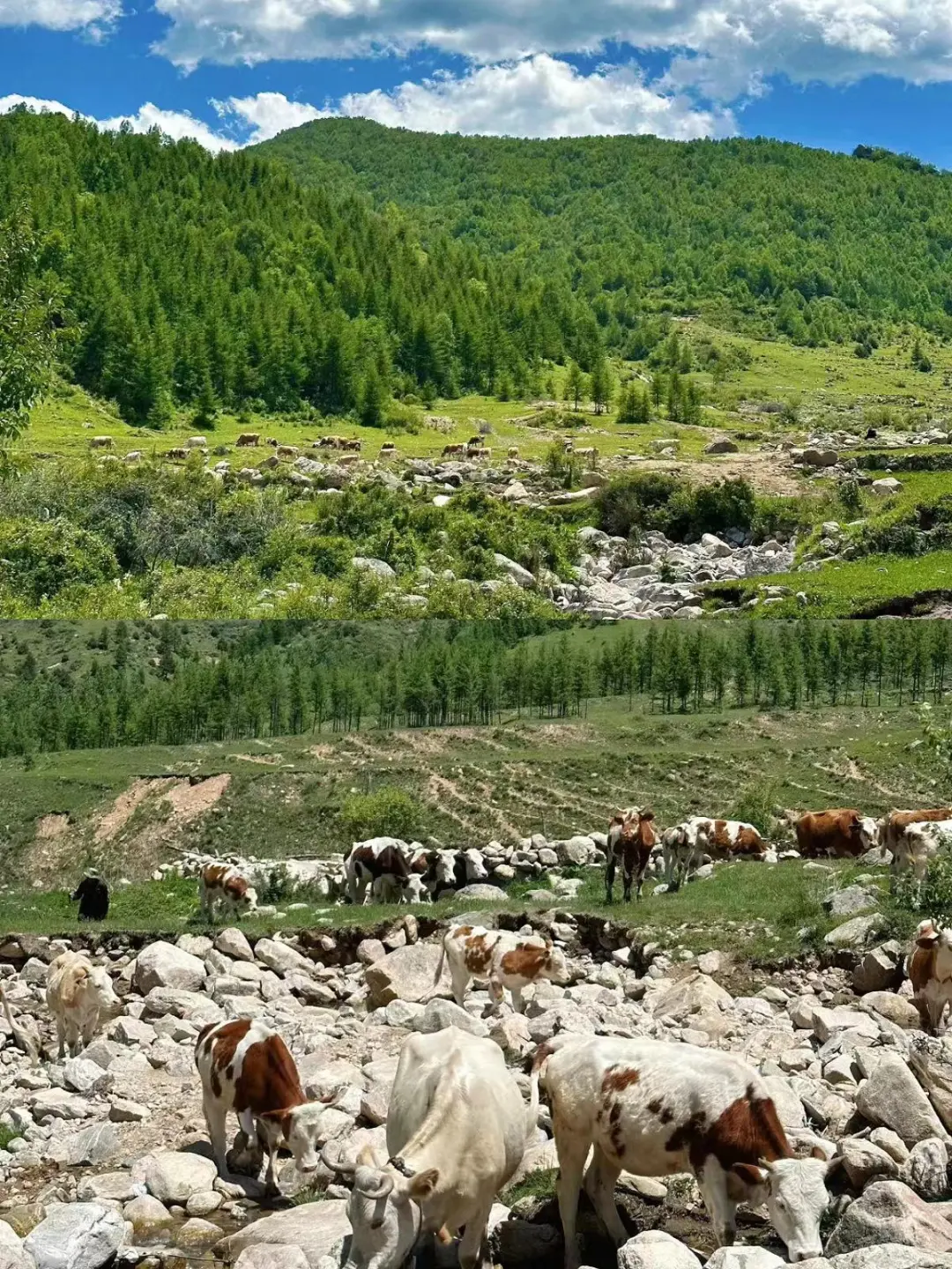 都是美到词穷的存在✔(附地址)
