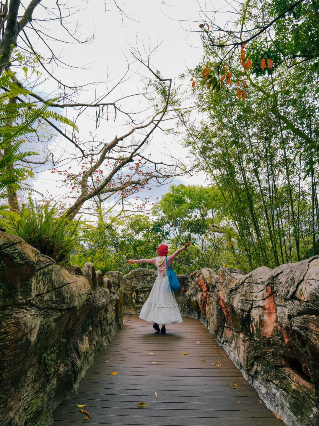 来三亚📍我发现了春日的热带雨林👒｜呀诺达